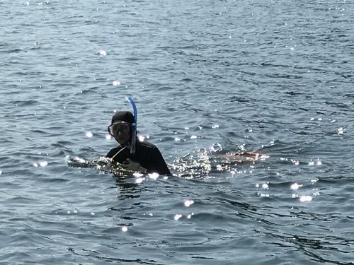 toba 056 amadiver 06