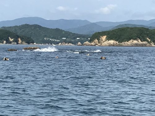 toba 058 amadiver 08